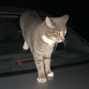 Meet your Posher, Alexandra